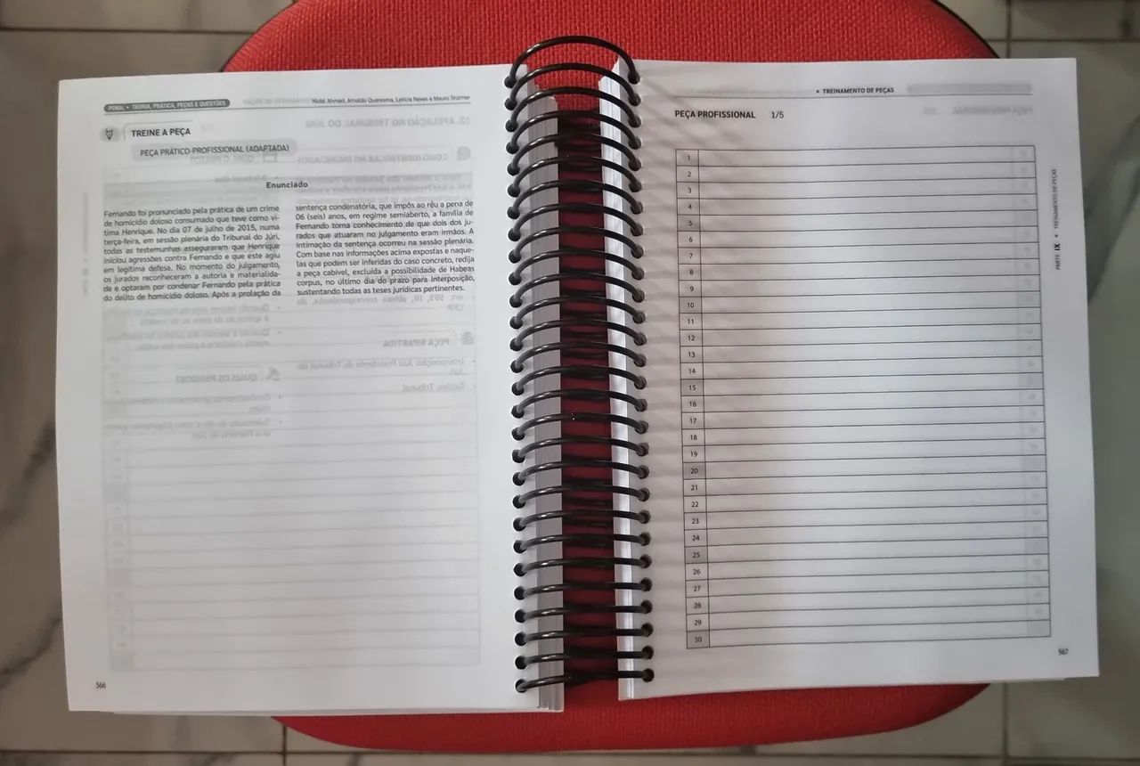 LIVRO DE TEORIA E PRÁTICA DE PENAL - Foto 3