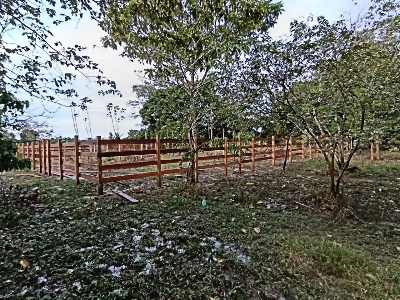 Verde se uma fazenda  - Foto 4