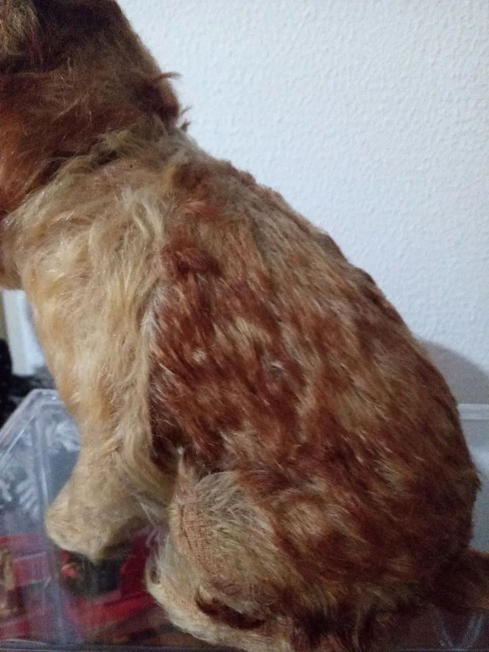 Cachorrinho Molly anos 20, Steiff. - Foto 2