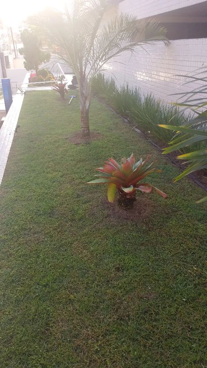 Jardineiro  - Foto 2