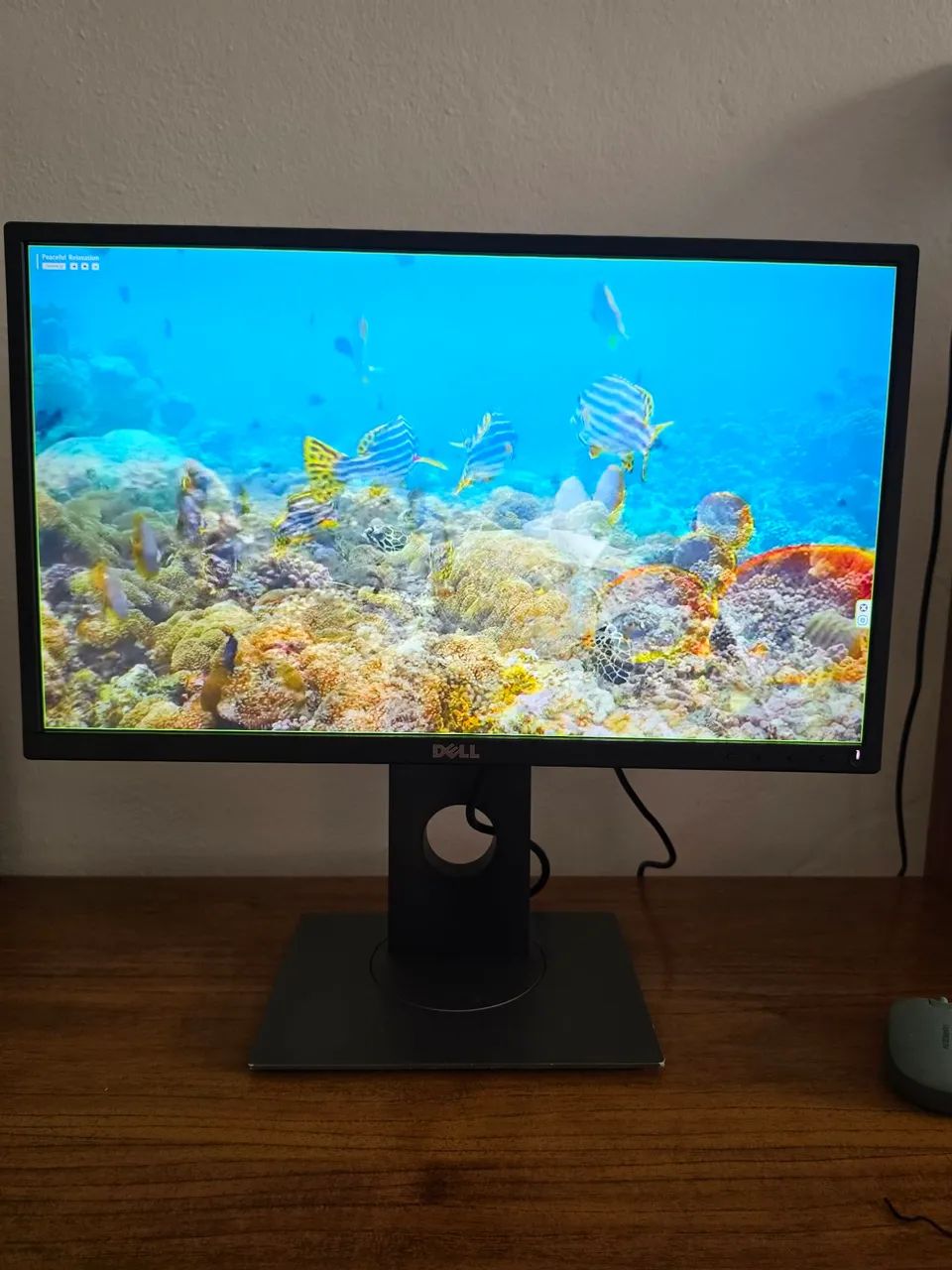 Monitor Dell Profissional P2217Hc - Foto 2
