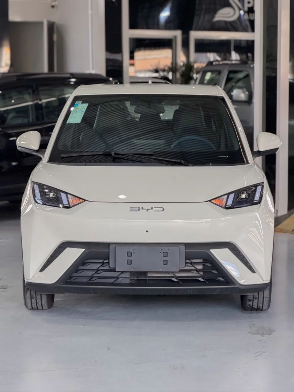 BYD Dolphin Mini (Elétrico) 2027 - Foto 3