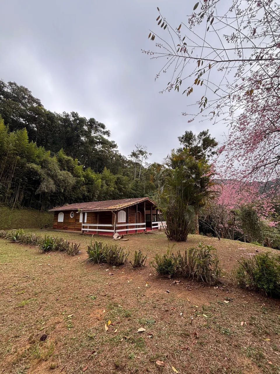 Mini chácara estrada Mury x Lumiar KM 11 - Foto 4