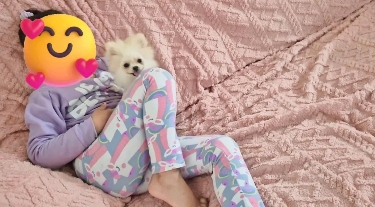 Spitz Anão femea 6 meses com pedigree cbkc 