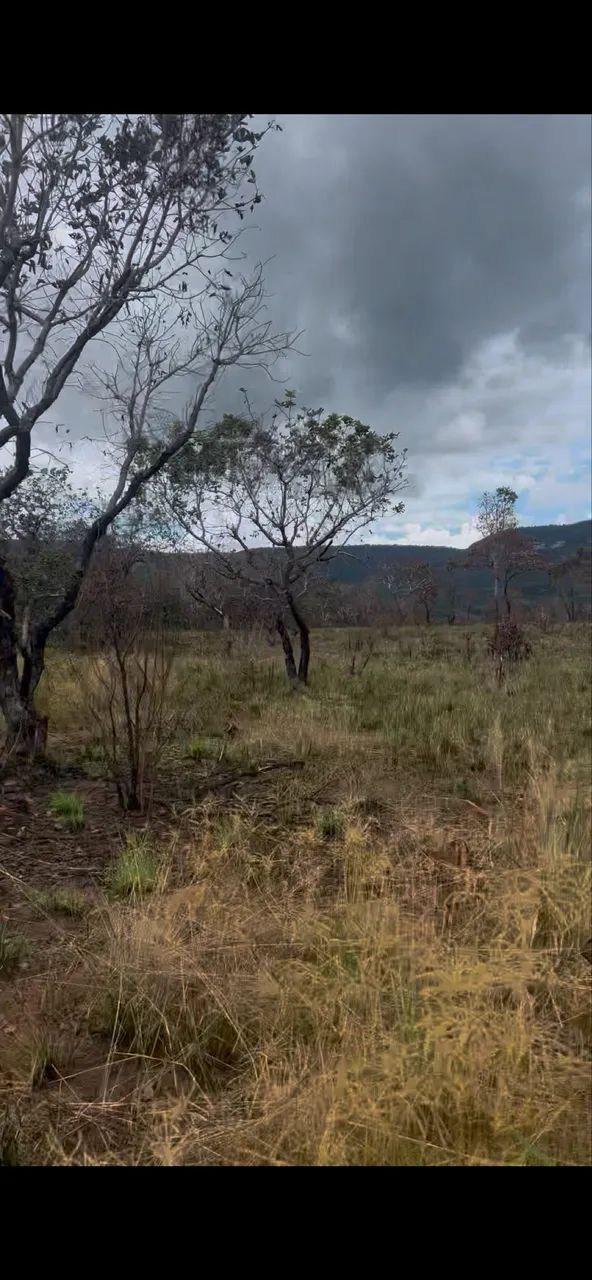 Venda de área rural  - Foto 2
