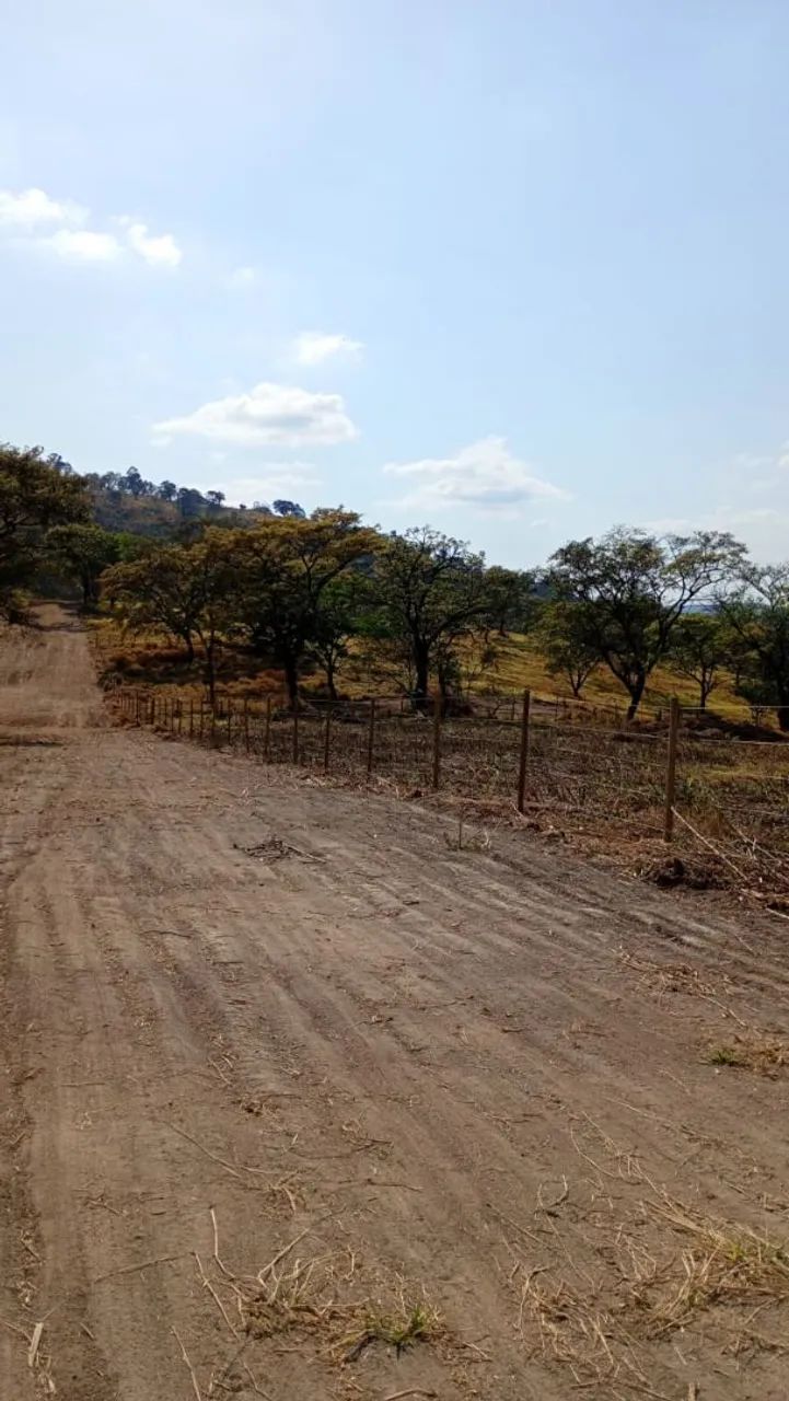 Terreno módulo rural em florestal  - Foto 2
