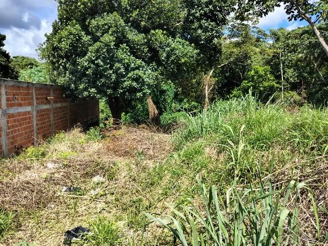 Terreno 570 m2 - Foto 3