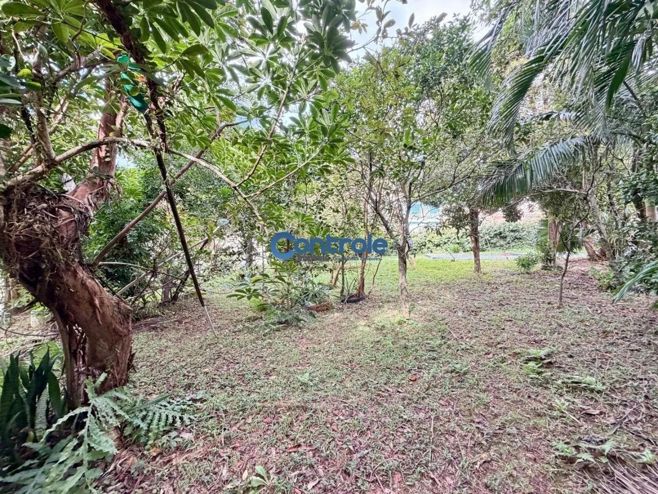 Terreno em Coqueiros, Florianópolis/SC! - Foto 2