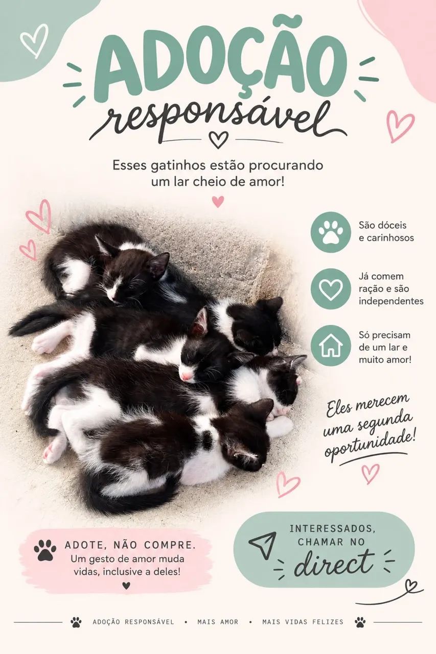 Adoção responsável!!!