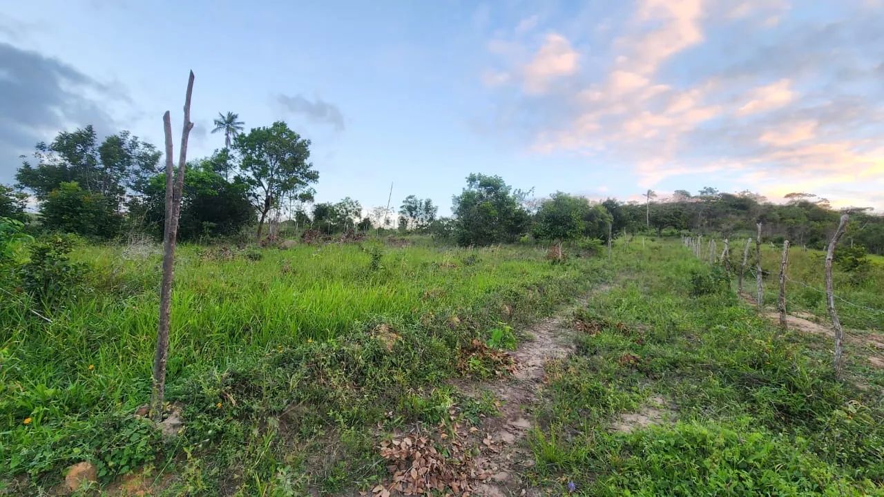 Vendo terrenos próximos a santo Amaro