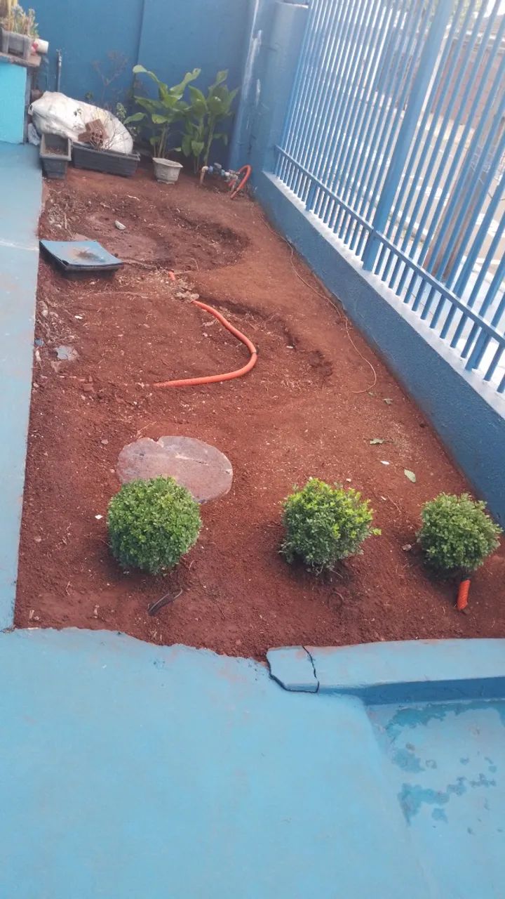 Manutencao e implantacso de jardim