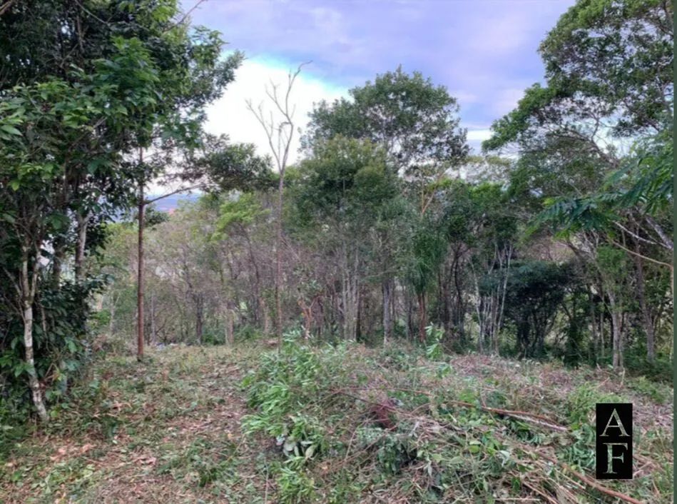 Terreno à venda no bairro Ambrósio - Garopaba/SC - Foto 5