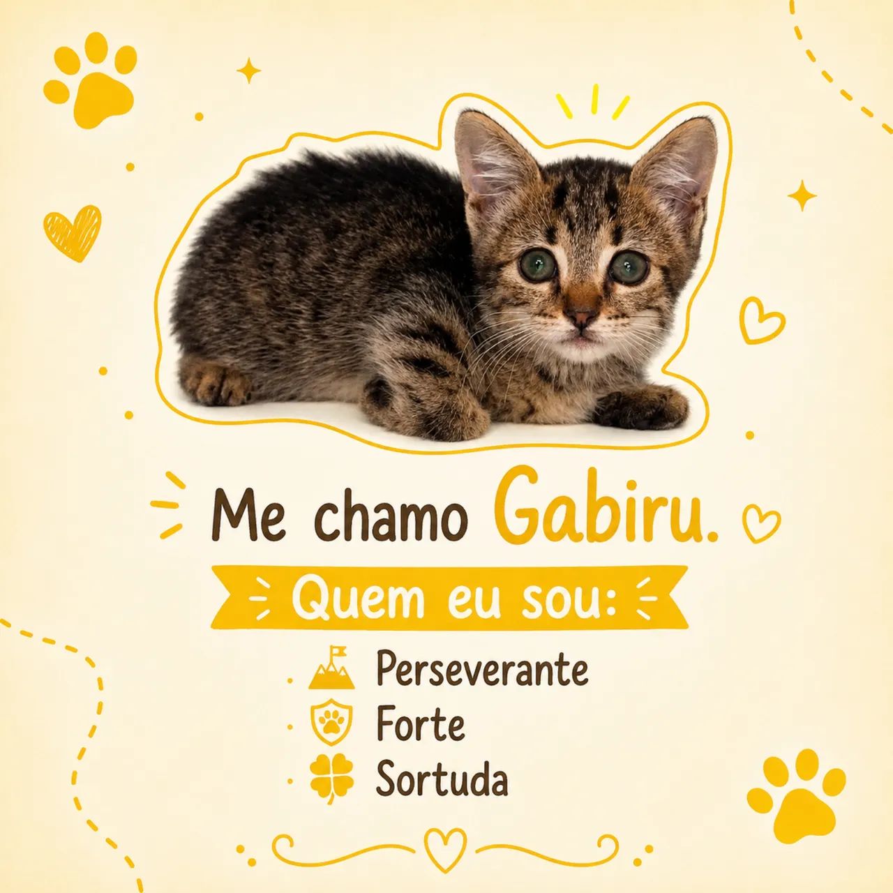 Gatinhos para adoção  - Foto 4