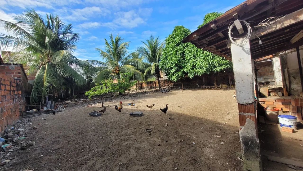 TERRENO GRANDE E DE QUALIDADE  - Foto 4