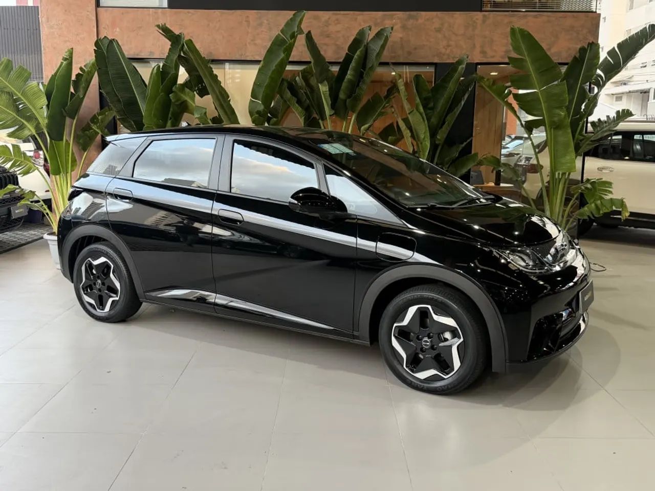 BYD Dolphin GS (Elétrico) 2024