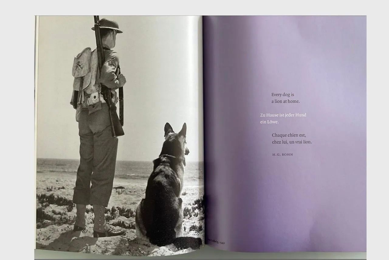Livro  - Foto 3