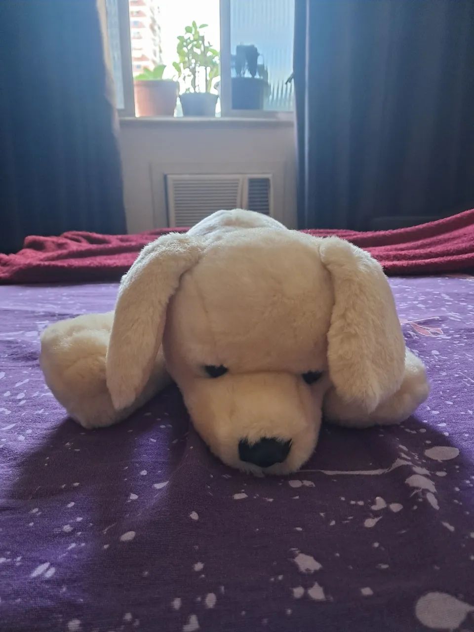 Cachorro de Pelúcia  - Foto 2