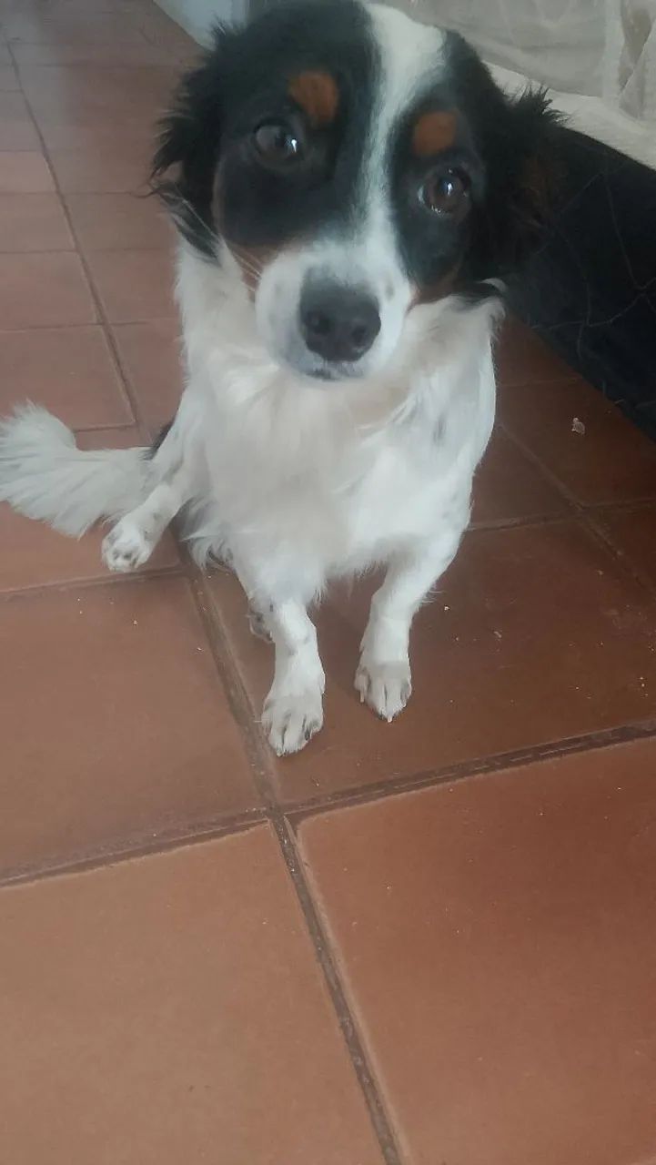 Doação 