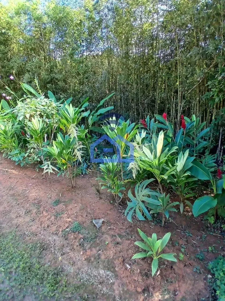 Casa à venda, Cocanha - Caraguatatuba - SP - Foto 5