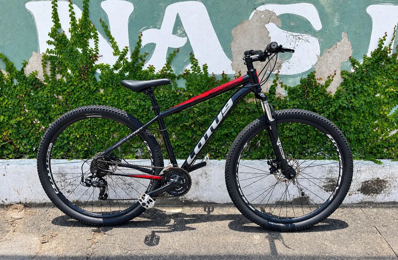 Bike aro 29 