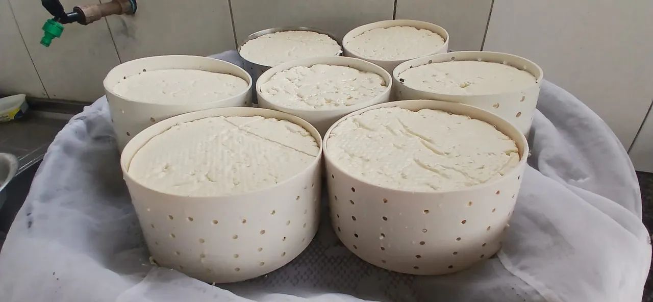 Queijo fresco  - Foto 2