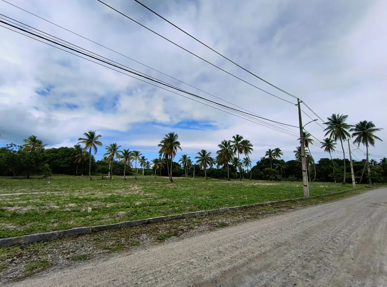 Lotes em Porto de Galinhas!! - Foto 3