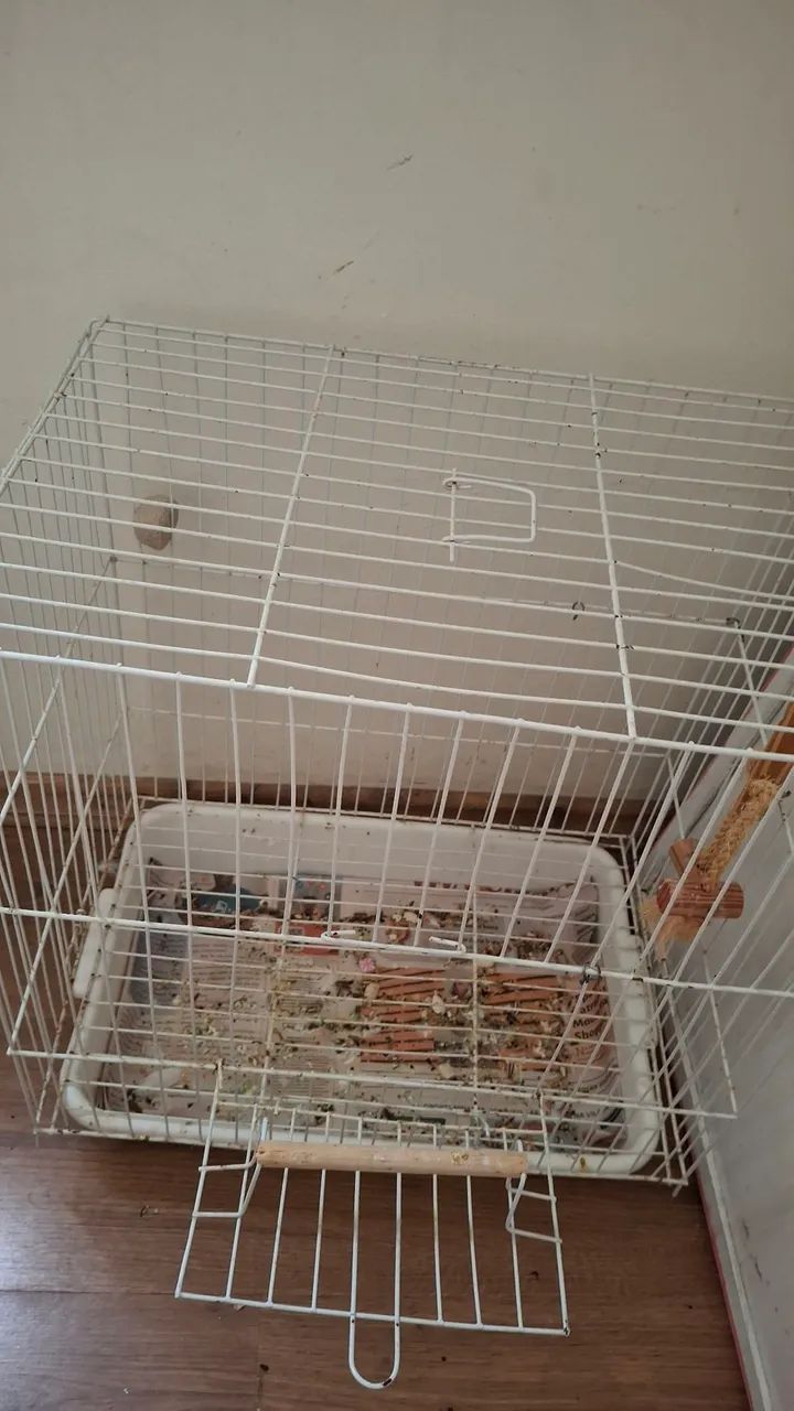 Gaiola pequena  - Foto 2