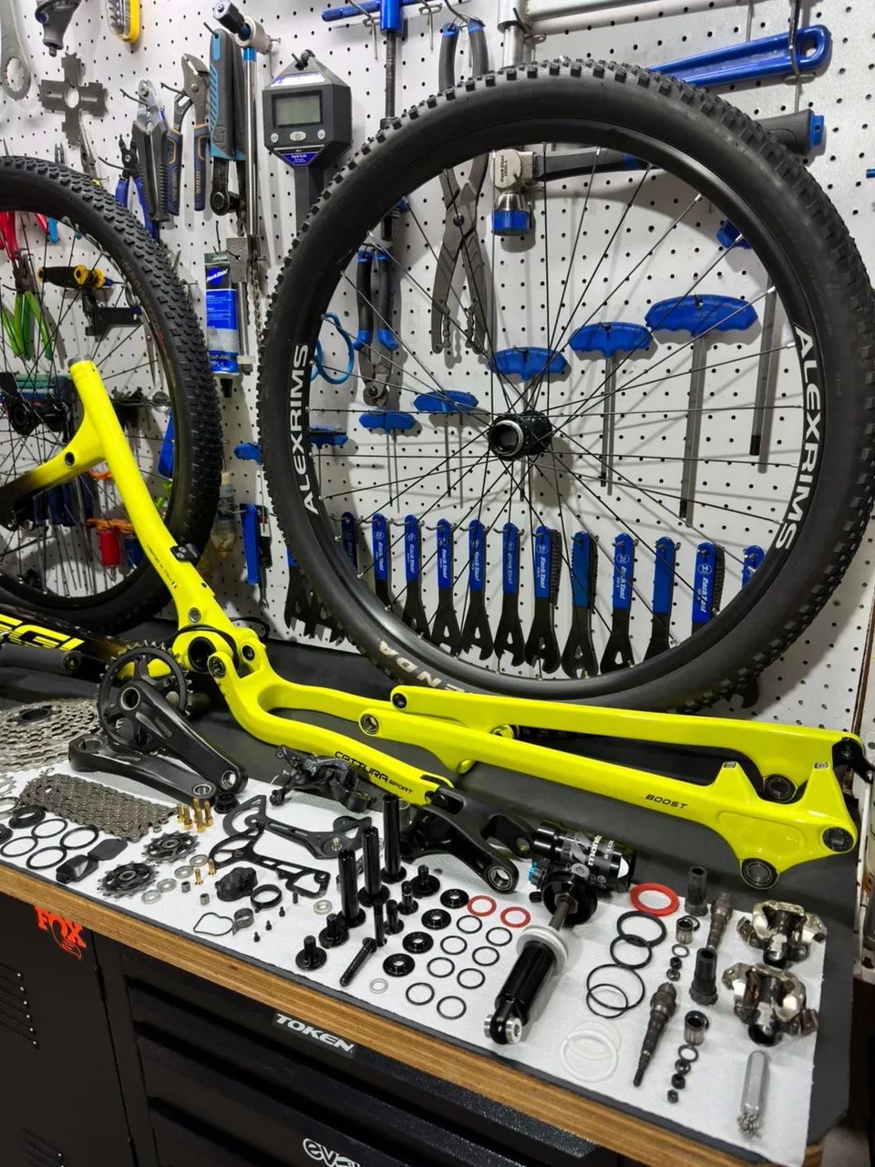 Bike oggi cattura sport 19  - Foto 3
