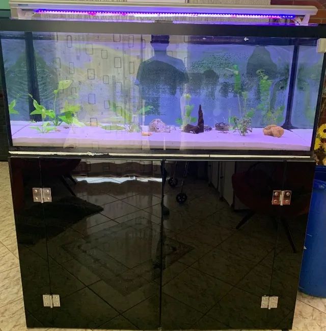 Aquário 500 litros - Foto 2