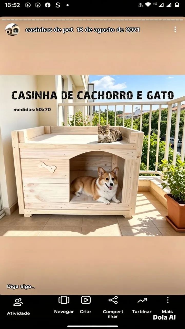 Fabrícamos casinhas de cachorro ZAP; * - Foto 4
