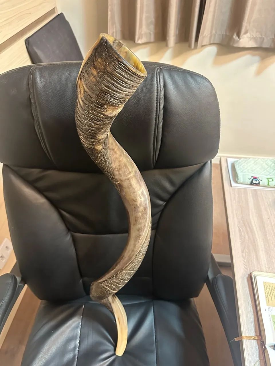 Shofar - Foto 3