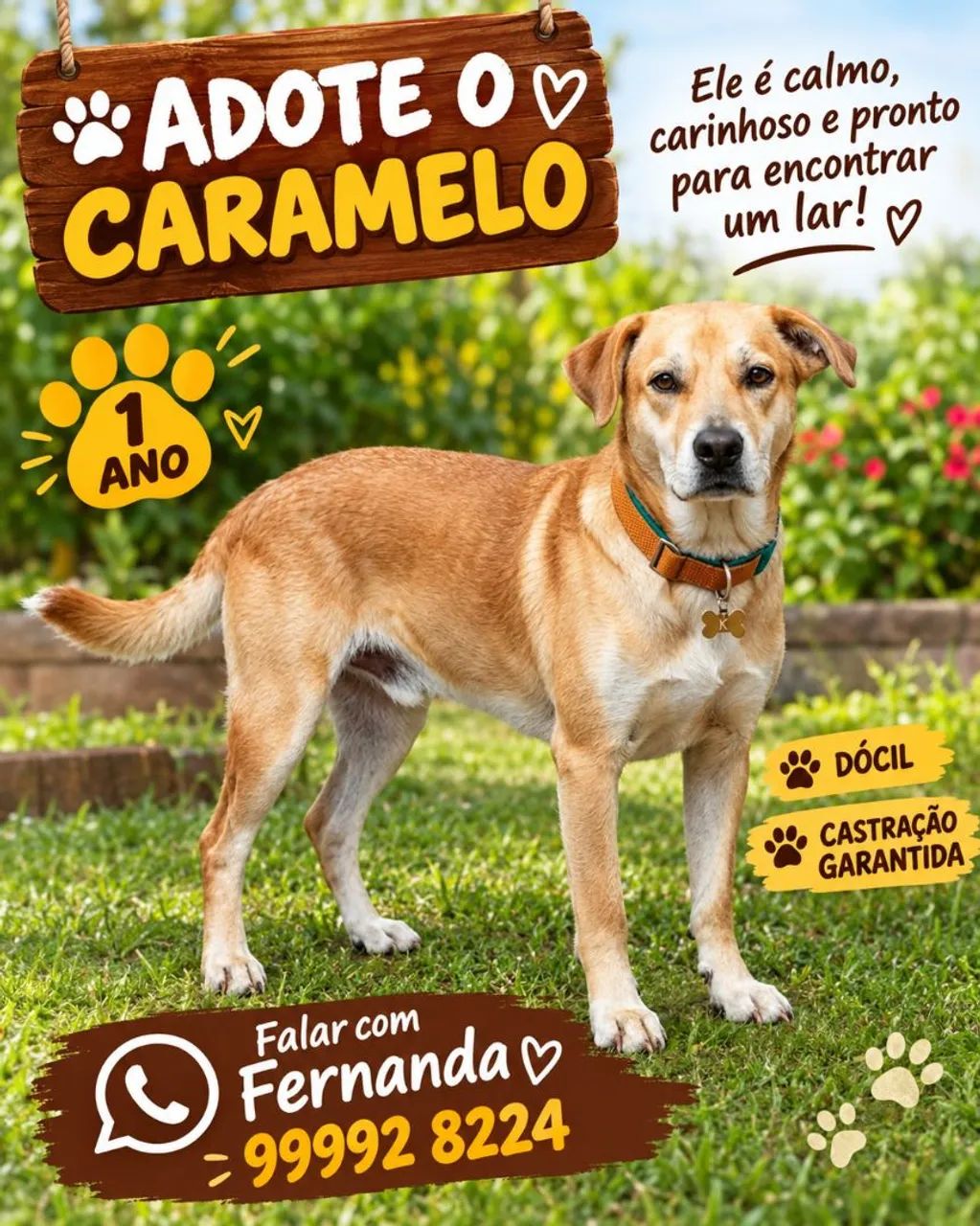 CARAMELO 