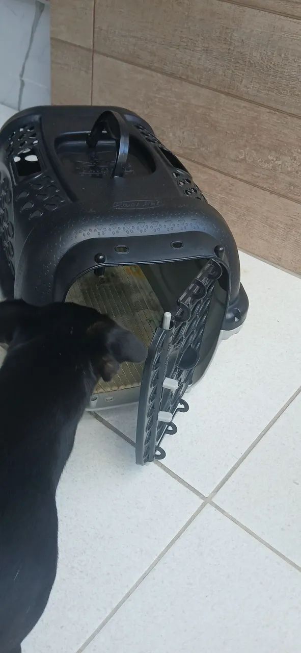 Gaiola pra gato ou cachorro  - Foto 2