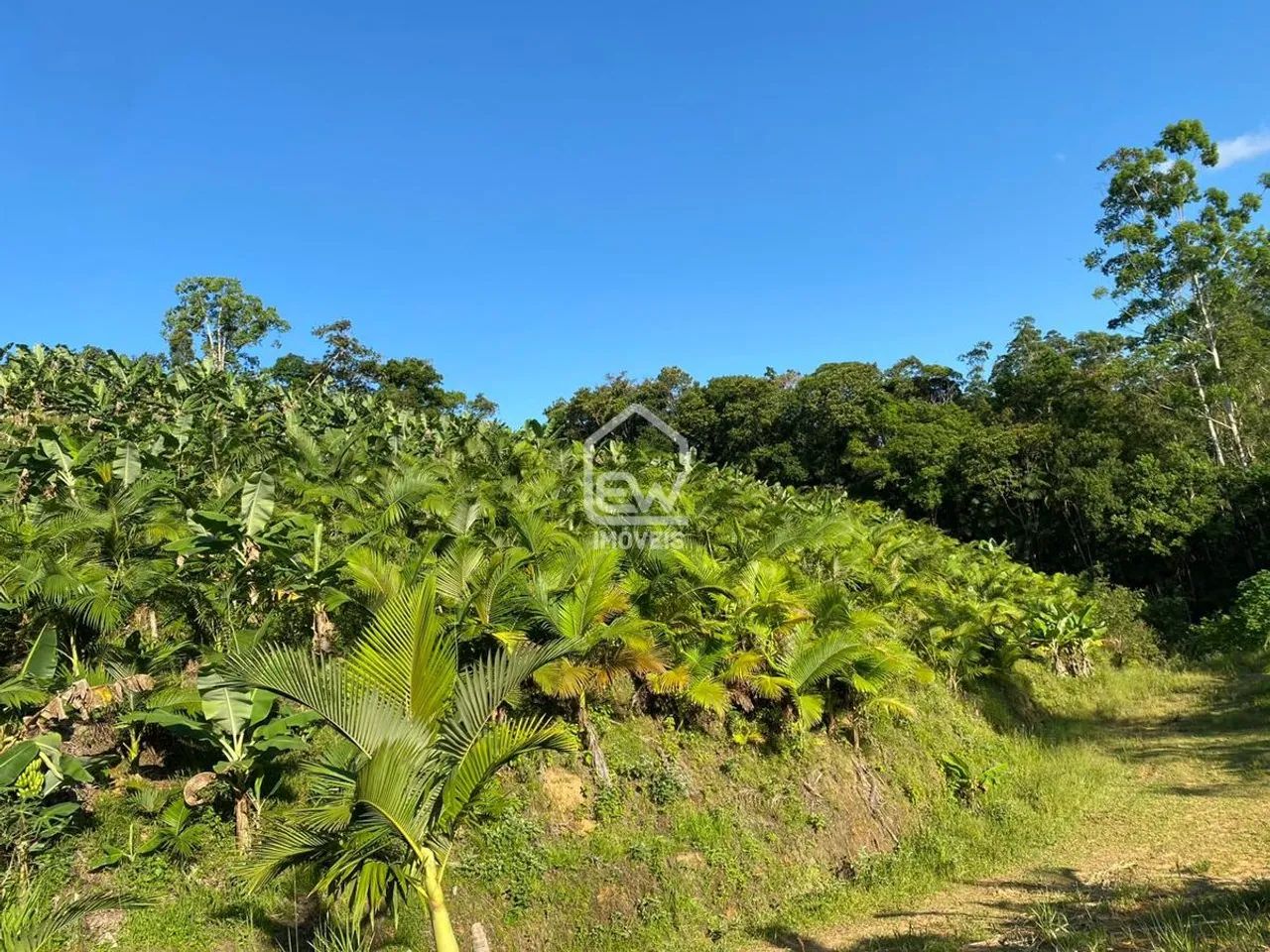 Sítio com Área Total de 101.850m² em Massaranduba, SC