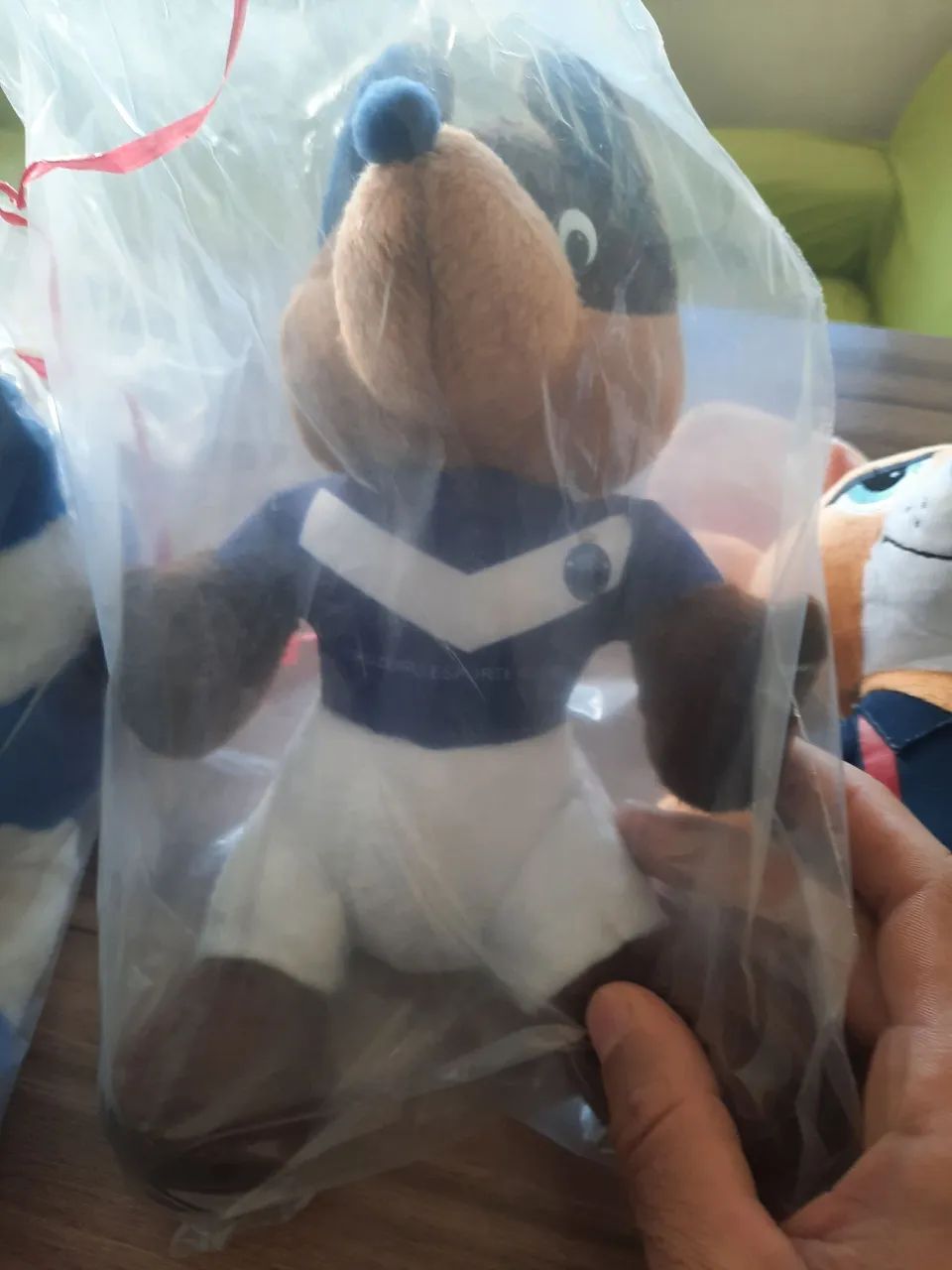 Urso do cruzeiro