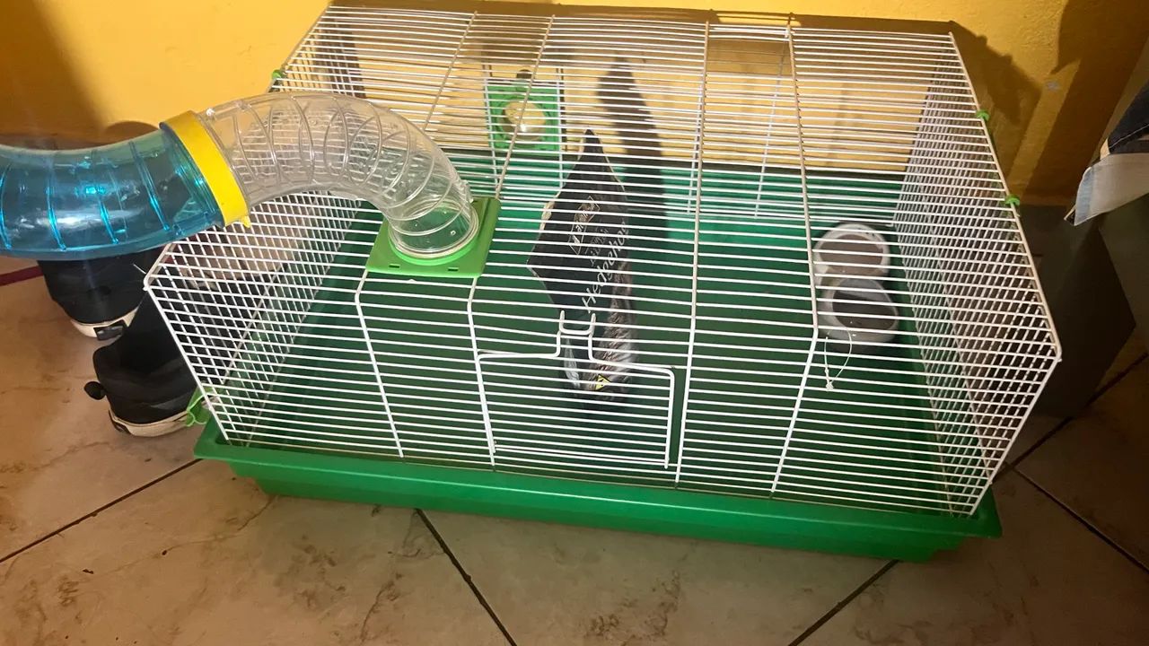 GAIOLA E COMEDOUROS PARA HAMSTERS E ROEDORES OU PETS PEQUENOS  - Foto 2