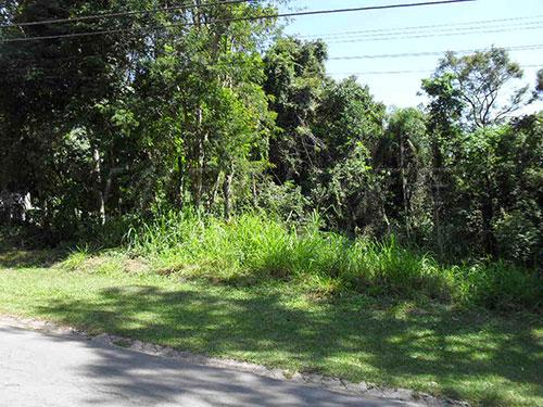 Terreno à venda em Serra da cantareira, São paulo cod:140455 - Foto 3