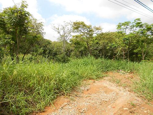 Terreno à venda em Jaçana, São paulo cod:136982 - Foto 4
