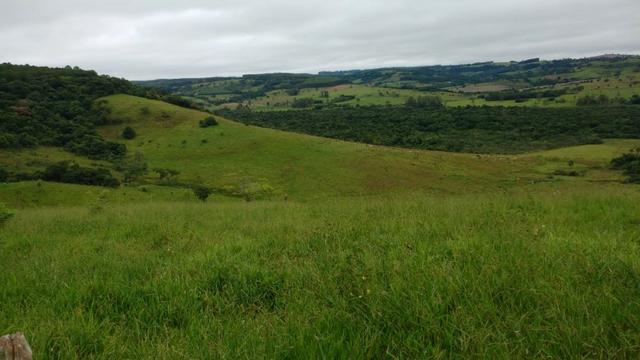 Otima fazenda com 73 alqueires na regiao de itapetininga - Foto 5