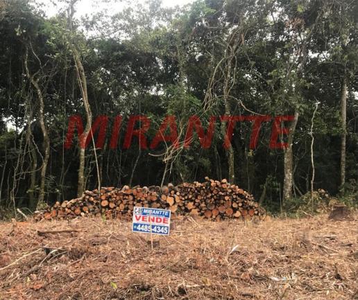 Terreno à venda em Serra da cantareira, São paulo cod:315630