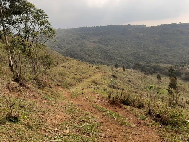Fazenda de 100 Alqueires. 70 de capoeira - 16 km da Colônia Vitória. Guarapuava PR - Foto 12