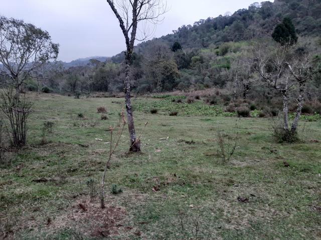 Chácara de 39 Alqueires. 18 de pasto - 26 km da Colônia Vitória . Guarapuava PR - Foto 16