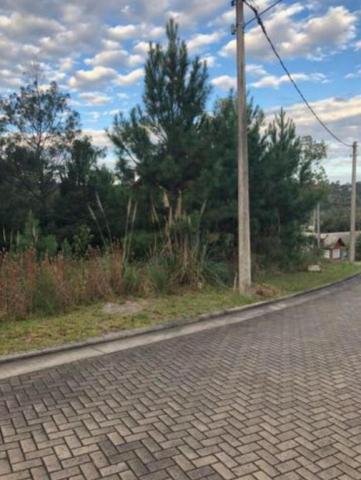Terreno à venda, 487 m² por r$ 320.000,00 - vivendas do arvoredo - gramado/rs - Foto 2