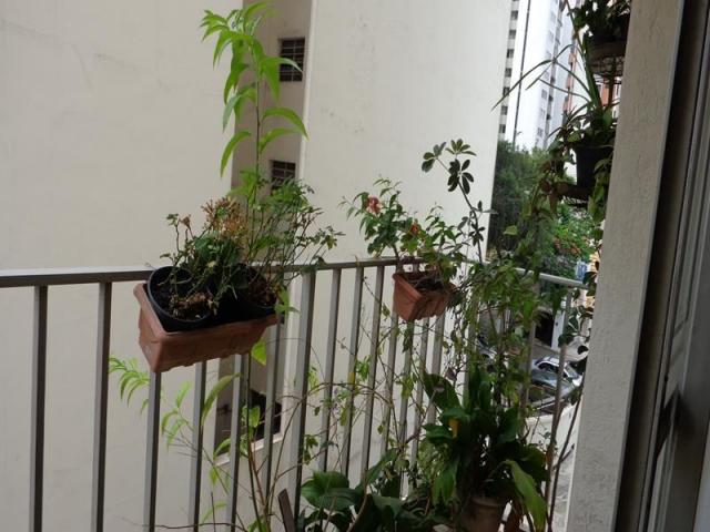 Apartamento à venda com 3 dormitórios em Perdizes, São paulo cod:3-IM207826 - Foto 8
