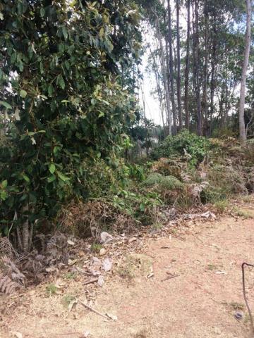 Lote com 1905m² no condomínio villagio verdi em domingos martins - Foto 13