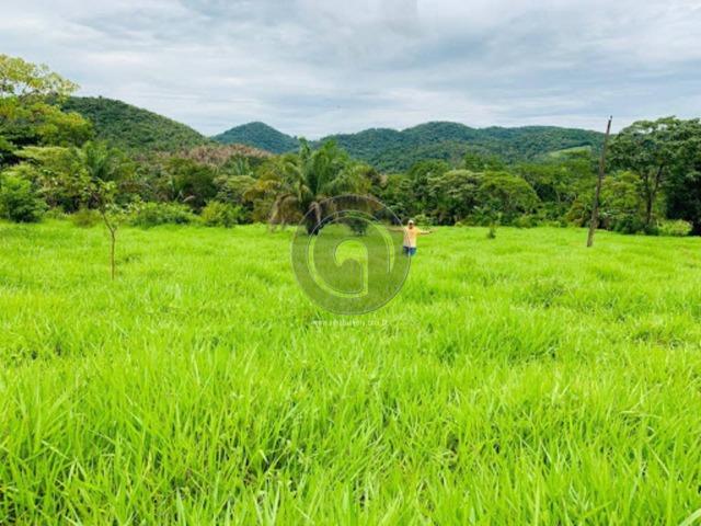 Chacara região da serra de são vicente - Foto 6