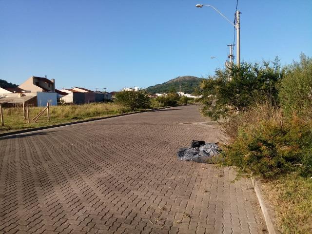 Terreno atrás do Zaffari Hípica - Foto 6