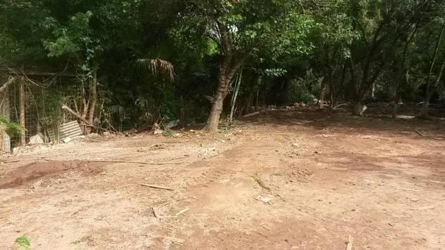 Terreno comercial para locação, Tristeza, Porto Alegre. - Foto 9