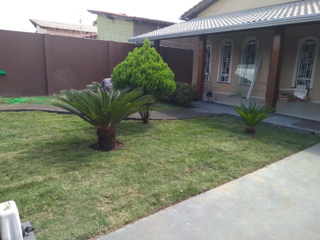Trabalho com jardinagem - Foto 2