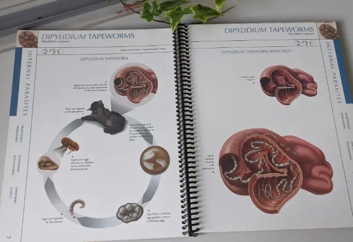 Livro - Pfizer Atlas Of Veterinary Clinical Parasitology  - Foto 2